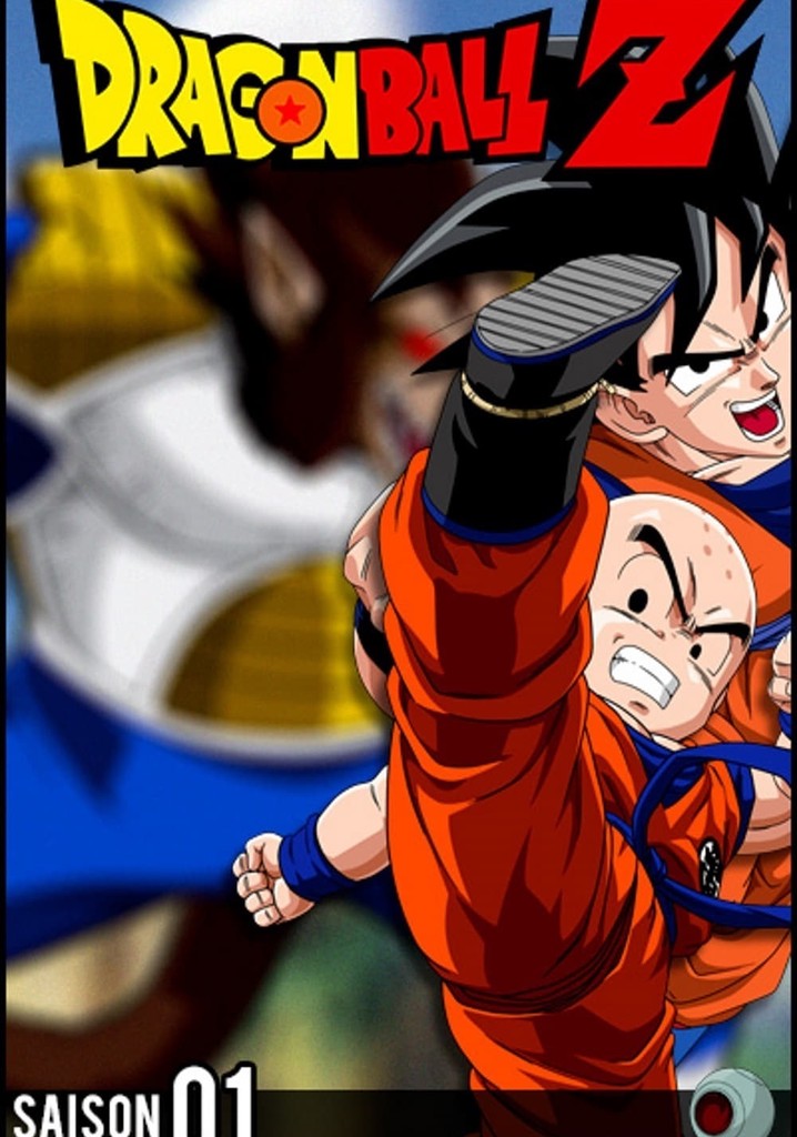 Dragon Ball Season 1 All Episodes Saison 1 Dragon Ball Z streaming: où regarder les épisodes?